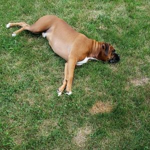 Meet your Posher, Kathy